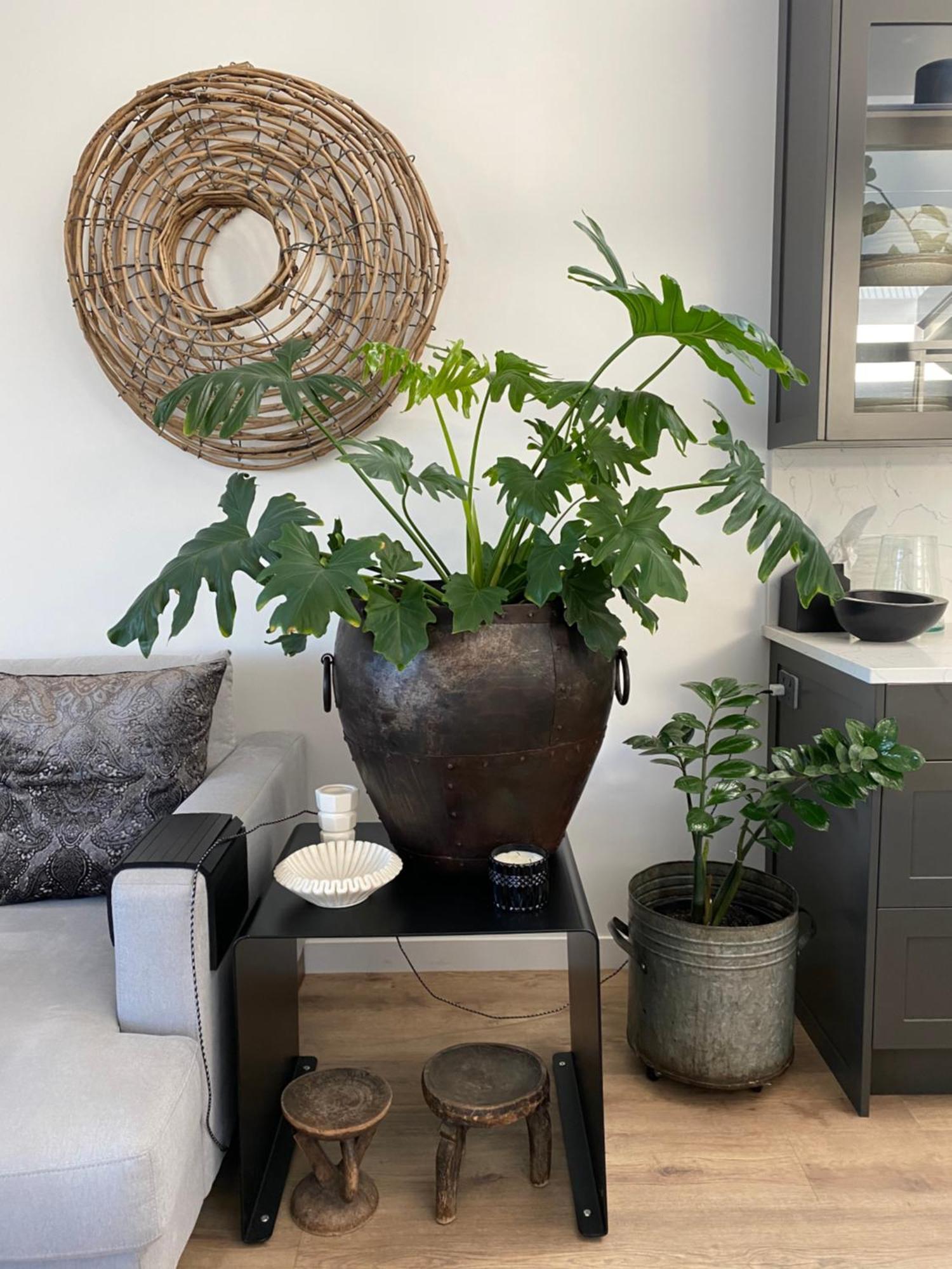 Napier Apartment Ahuriri 외부 사진
